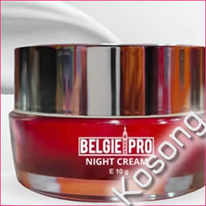 bripro.id;bripro;belgie night cream; british propolis; propolis