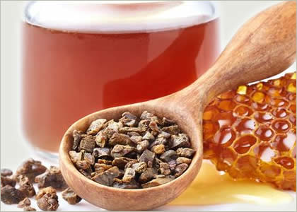 Perbandingan British Propolis vs propolis biasa – kualitas premium, kemasan praktis, dan kandungan flavonoid tinggi